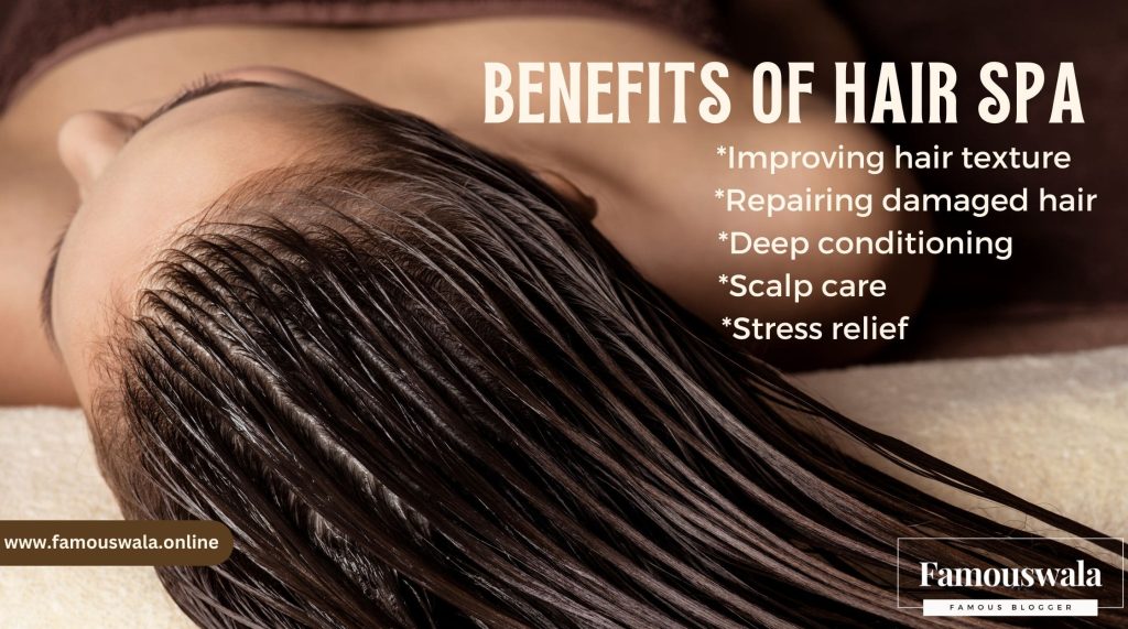 What is Hair Spa? Uses, Benefits, Disadvantages